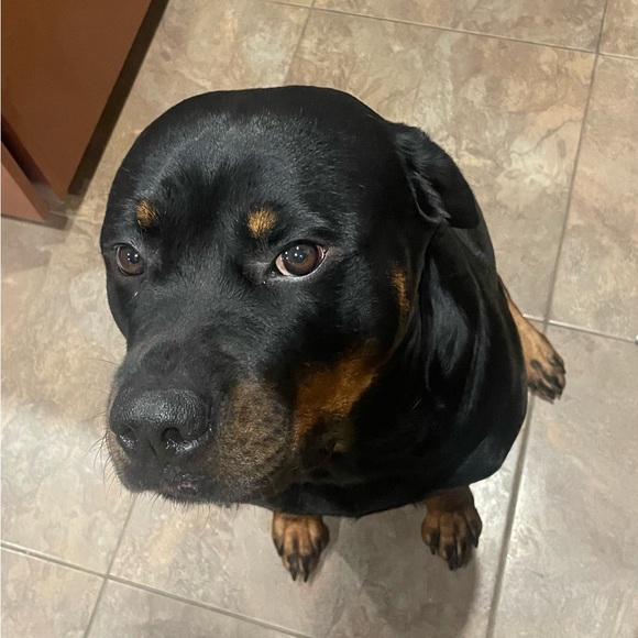 Meet your Posher, Shauna - Picture 10 of 14